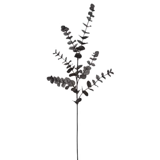 12 Pack: Black Eucalyptus Spray by Ashland®